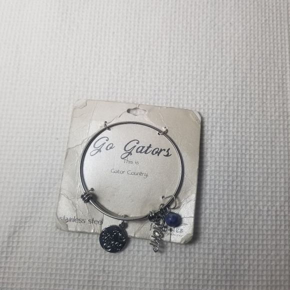 Silver and Blue Gators Charm Bracelet - Picture 4 of 4